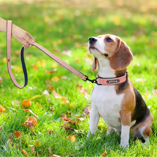 PET COLLARS