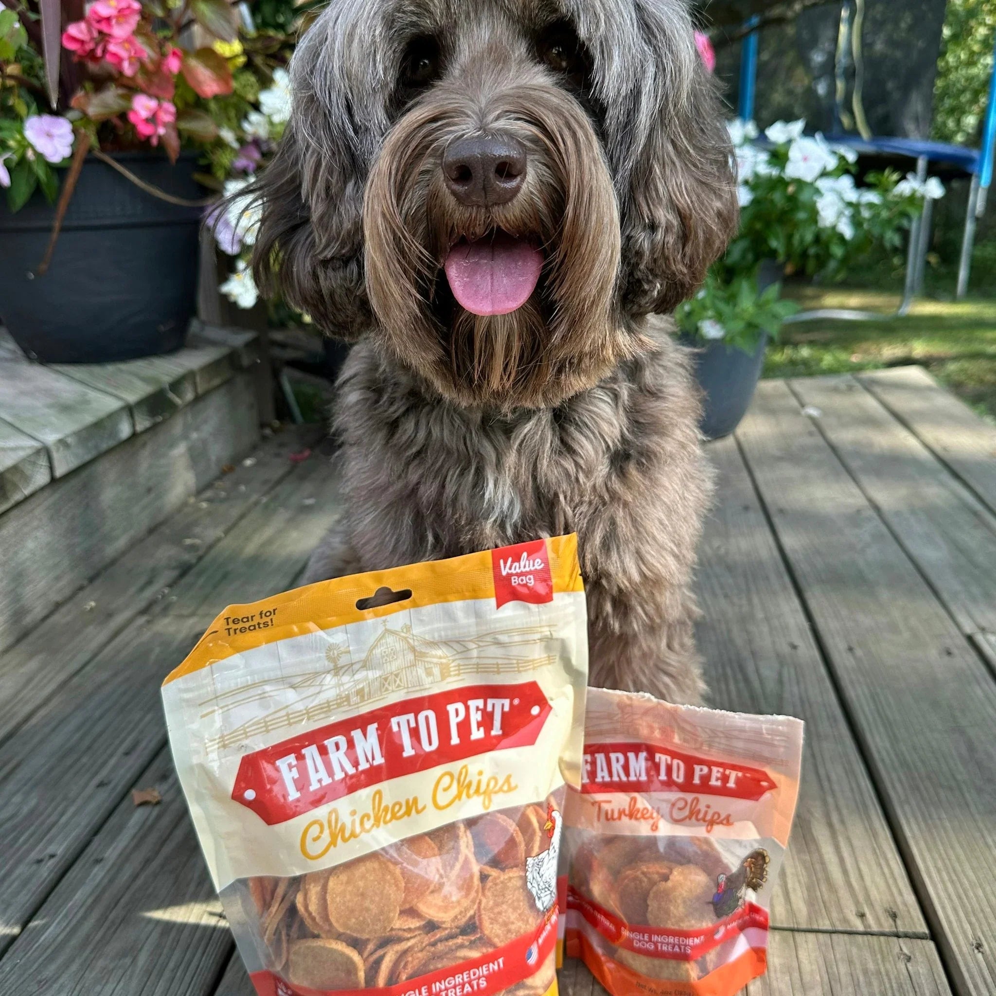 PET SNACKS & TREATS