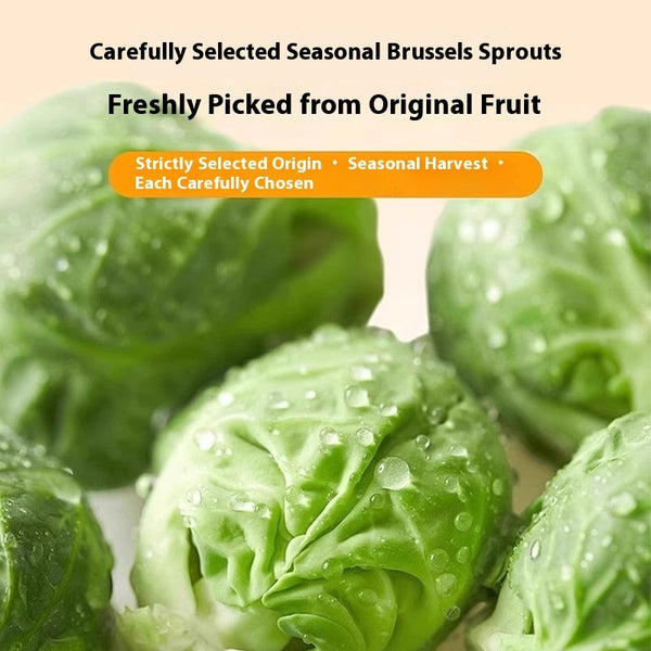 Dog Snacks Brussels Sprouts Freeze-dried Food