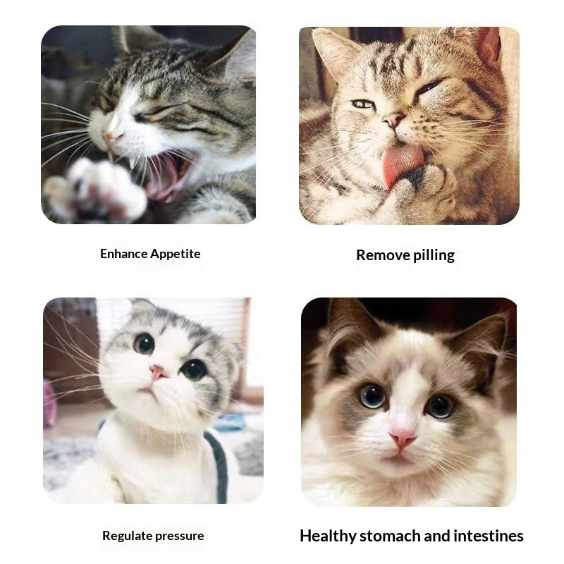 Catnip Cat Grass Cat Snacks Help With Hairball Removal And Oral Cleaning